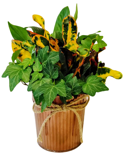 4.5" Fall Fluted Metal w/ Garden (Box of 16)